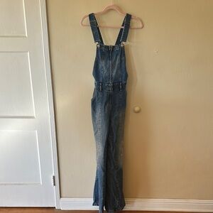 We The Free Classic Denim Overalls
